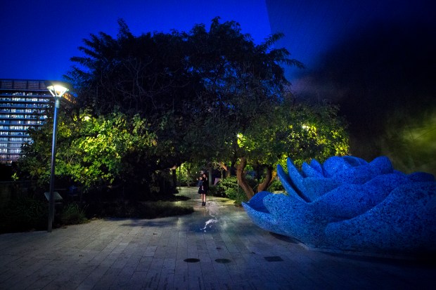 2016__01_25_WithLoveAndrea_Print-201